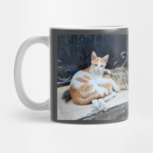 Two cute kittens Mug